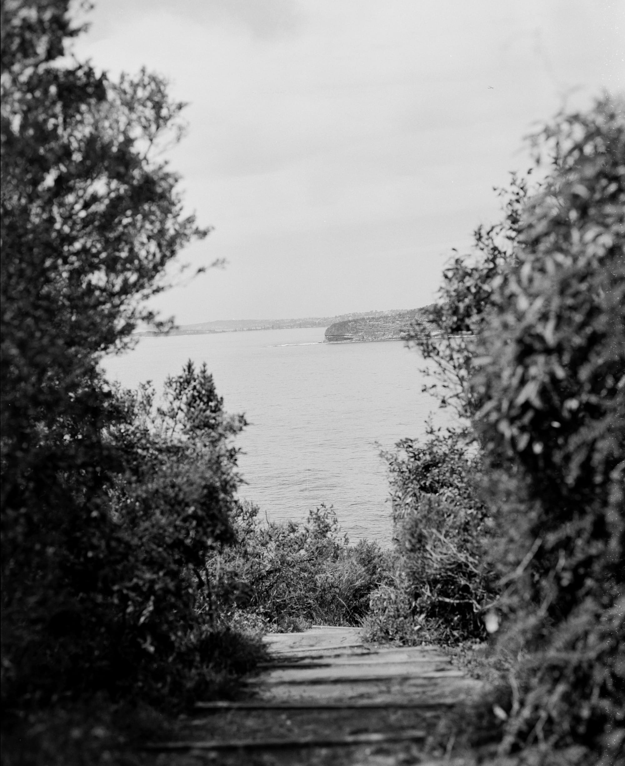 Avoca & Avalon