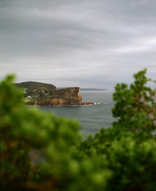 Avoca & Avalon
